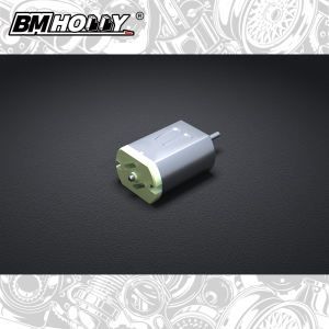 FLD Brushed Motor (FLD-002)