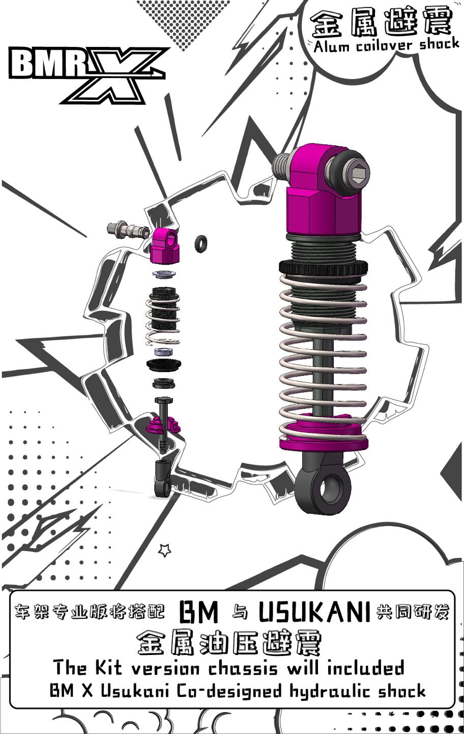 495947118_1290969749698943_5103721997537669698_n BMRX-EVO2.0 Chassis ( BMRX-EVO2.0 )