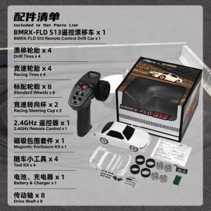 FLD-S13 ARR Version (BMRX-FLD-S13)